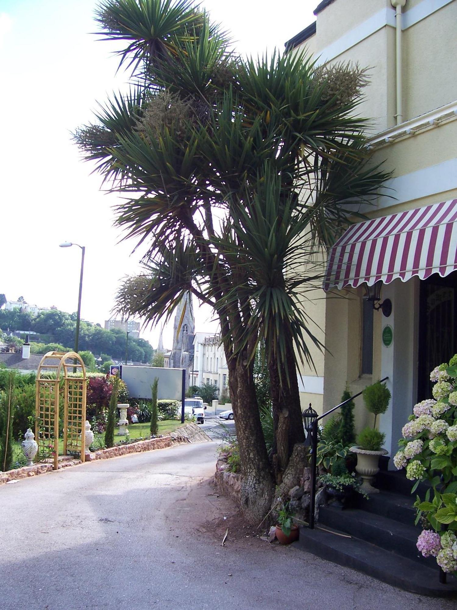 2011年萨默维尔西南住宿加早餐酒店 托基 外观 照片